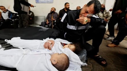  ۵۶ فلسطینی بامداد چهارشنبه در نوار غزه شهید شدند