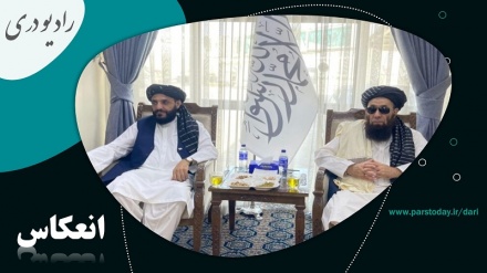 دیدار هیئت اقتصادی حکومت طالبان با وزیر کشاورزی ایران 
