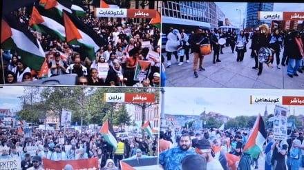 Новостной пакет: Массовые демонстрации в европейских странах в поддержку Газы, премьер-министр Словакии поддерживает Путина