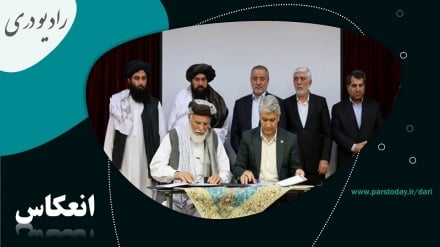 گسترش فعالیت های اقتصادی میان ولایت های فراه و خراسان جنوبی 