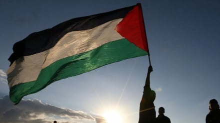 فلسطین مسئله اول دنیا؛ مقاومت اعجاب‌انگیز مردم غزه در برابر تجاوزات رژیم صهوینیستی