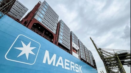 Маерск – ғӯли киштиронии ҷаҳон фаъолият дар бандари Ҳайфоро мутаваққиф кард
