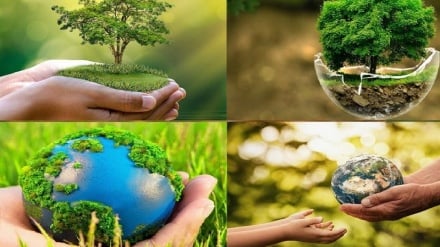 شین لکه  د ژوند - د ژواک چاپیریال  نړیواله ورځ 