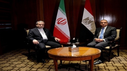 عراقچی: مسیر توسعه روابط بین تهران و قاهره بیش از هر زمان دیگری گشوده است