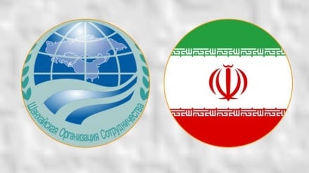 سازمان همکاری شانگهای: حملات اسرائیل به خاک ایران محکوم است