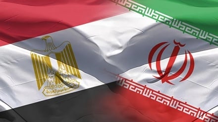 Akademisi Mesir: Dunia Arab Harus Dukung Penuh Iran Lawan Israel