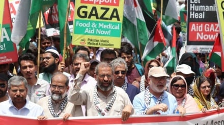 Pakistani health workers rally in support of Gaza
