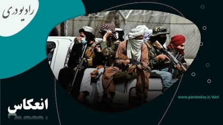 حضور گروه های تروریستی در افغانستان؛ از واقعیت تا ادعا 
