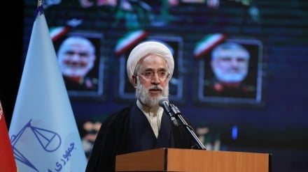 دادستان کل ایران: مهاجران قانونی در بازگشت اتباع غیرمجاز به کشور کمک کنند
