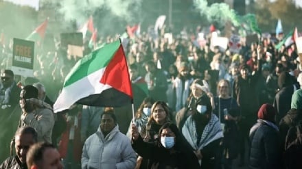 ערים ברחבי העולם מורדות בשתיקה: החרם על הכיבוש הישראלי מתרחב במחאה על רצח העם בעזה