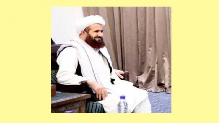 آب‌ وهوای تابستانی در روابط  مسکو و کابل؛ سفیر طالبان در روسیه معرفی شد