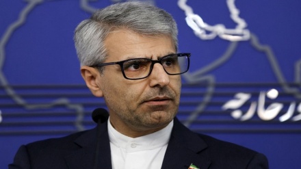 بقائی: ایران طبق معاهده NPT حق استفاده از انرژی هسته‌ای صلح آمیز را دارد