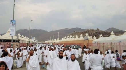 جان باختن ۱۰ زائر افغان در مراسم حج امسال 
