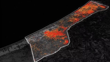 イスラエル軍によるガザの農地破壊