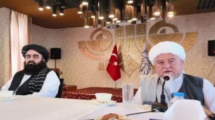 متقی: طالبان مدعی ارتقای روابط با ترکیه در سطح سفیر شدند
