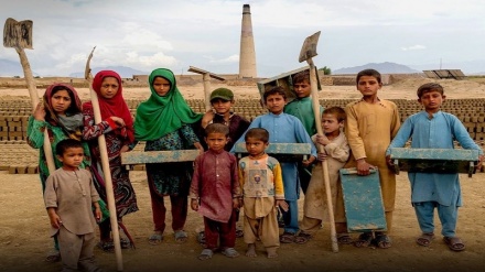 سازمان ملل: بیش از ۴۳۰ کودک در افغانستان قربانی انفجار ماین در ۲۰۲۴ شدند
