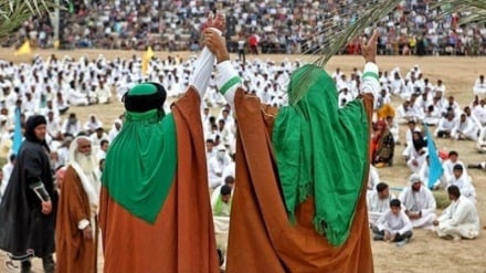 Ulama Ahlu Sunnah Iran: Kecintaan pada Imam Ali adalah Keimanan Kami