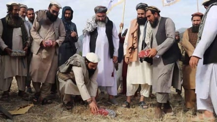 آغاز کار چندین پروژه انکشافی در ولایت نورستان