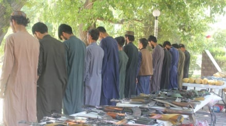 بازداشت بیش از ۳۰۰ نفر به اتهام جرایم جنایی در ننگرهار