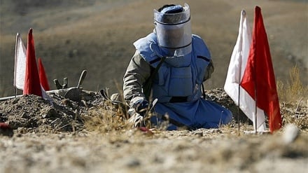 د افغانستان په اړه د ماینونو د بحران په اړه یوځل بیا خبر داری ورکړل شوی