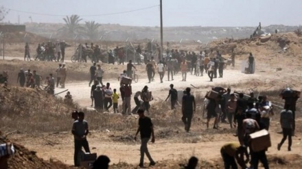 Documentary captures Zionists' massacre and shooting of starving civilians in Rafah