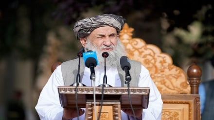 ملاحسن آخند: نباید اجازه داد چراغ نظام خاموش شود