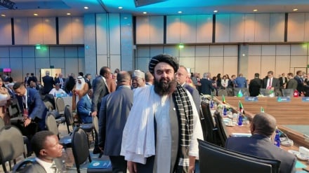وزیر خارجه طالبان برای اشتراک در نشست سازمان همکاری اسلامی به استانبول رفت