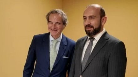  Միրզոյանը և Գրոսսին քննարկել են Հայաստանի և ԱԷՄԳ-ի միջև համագործակցության հարցեր