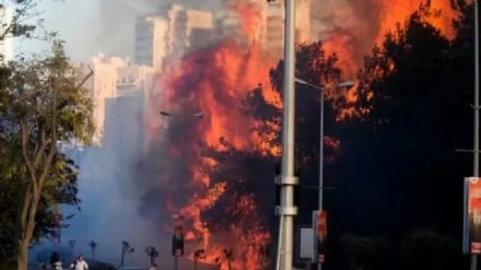 שריפה גדולה בחליסה, חיפה: נזק למבנים, פינוי בתים ומוסדות חינוך