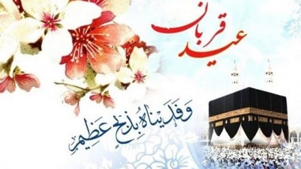 طالبان به مناسبت عید قربان چهار روز رخصتی عمومی اعلام کرد