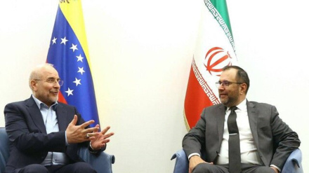 رئیس مجلس شورای اسلامی ایران در دیدار با وزیر خارجه ونزوئلا: ما دشمن و دوست مشترک داریم 