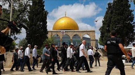 منابع خبری: صدهها صهیونیست به مسجدالاقصی یورش بردند