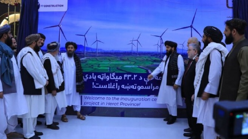 هرات کې د بادي او لمریزې برېښنا د تولید پروژې پیل شوې