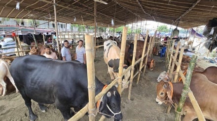 ২০ হাজার পরিচ্ছন্নতাকর্মী, ২৪ ঘণ্টায় শহর পরিষ্কারের লক্ষ্য