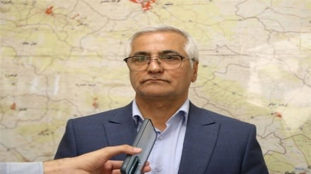 ۵۰ درصد از افغانستانی‌های بازگشته از ایران افراد مجرد بوده‌اند