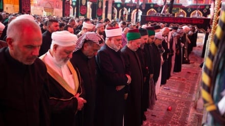 Cahaya di Kegelapan: Persatuan Syiah-Sunni 