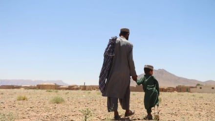 آغاز دور تازه واکسن فلج اطفال در هرات، گامی در مسیر سلامت 