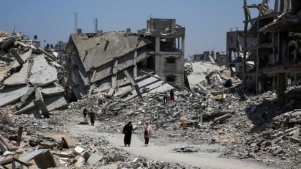 Israeli army has destroyed 85% of homes in Gaza, says hospital spokesperson