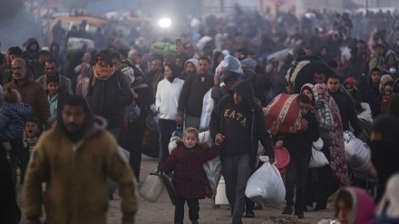  Haaretz: Israel has a Nazi-like plan for ethnic cleansing in Gaza  