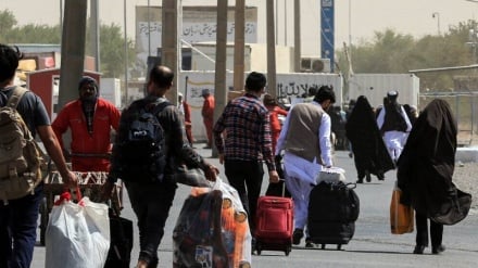 بازگشت ۳۰ درصد از افغانستانی‌ها داوطلبانه است