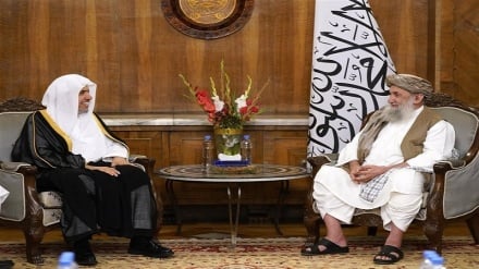 طالبان: علما حاکمان کشورهای اسلامی را برای حمایت از فلسطین تحت فشار بگذارند