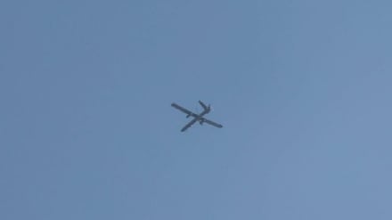 שוויץ שוקלת לבטל חוזה לרכישת כטב