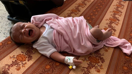 وزارت بهداشت فلسطین: موارد فلج عضلانی حاد در غزه افزایش یافته است 