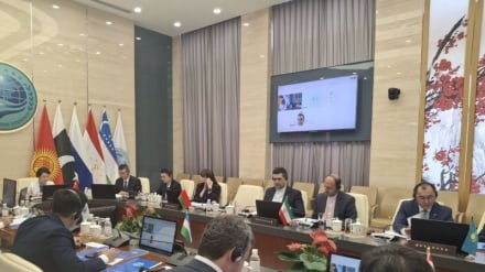 Շանհայի համագործակցության կազմակերպության անդամները կարևորում են բազմակողմ մեդիա դիվանագիտության ամրապնդումը և կեղծ լուրերի դեմ պայքարը