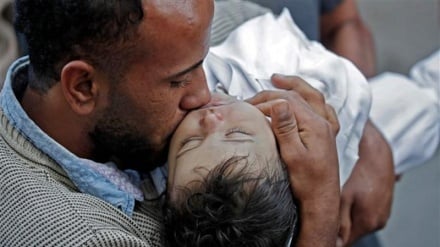Berapa Banyak Anak Palestina Gugur Syahid di Tangan Zionis Setiap Harinya?