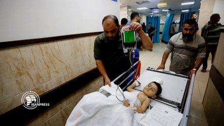 Գազայի հիվանդանոցի խոսնակ. Իսրայելը սովի և հիվանդությունների միջոցով թիրախավորում է Գազայի ապագա սերնդին 