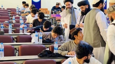 د افغانستان د کانکور ازموینې پایلې اعلان شوې