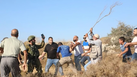 شهرک‌نشینان صهیونیست جنوب نابلس را به آتش کشیدند