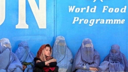 مجله اقتصادی، هشدار برنامه جهانی غذا درباره ناامنی غذایی در افغانستان 20 04 1404