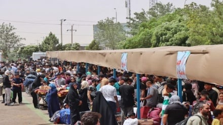 تکریم مهاجران افغانستانی توسط خادمان امام رضا علیه‌السلام